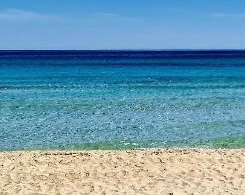 Monsant Vila Granelli